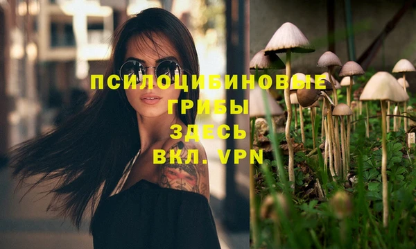 дмт Армянск