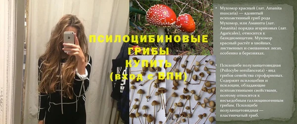 дмт Армянск