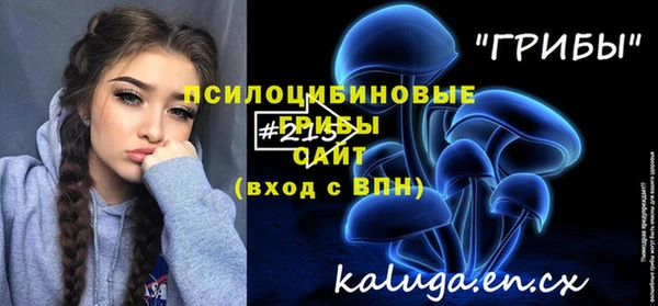 меф Арсеньев