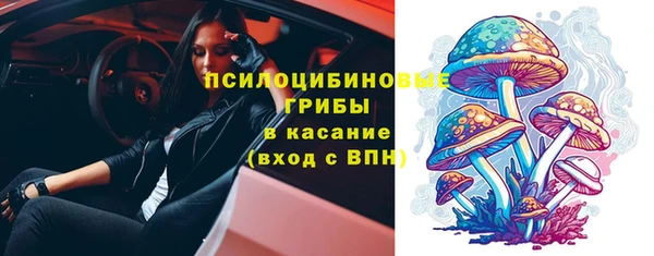 дмт Армянск