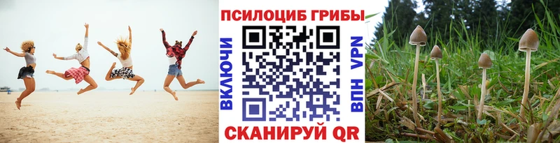 Псилоцибиновые грибы мицелий  купить наркотик  Сосновоборск 