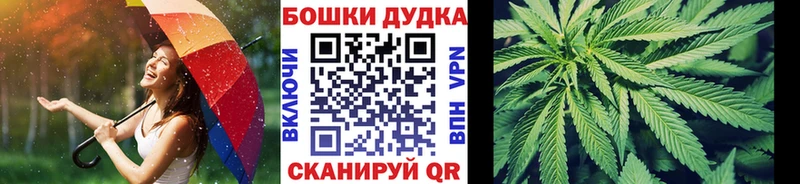 Канабис сатива  Сосновоборск 